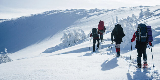 Schneewanderer in den Alpen