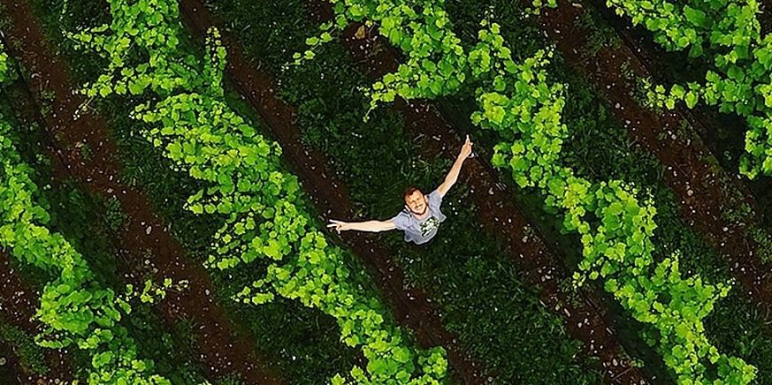 Mit diesem Wurfpfeil macht ihre GoPro-Kamera Actionbilder aus der Luft