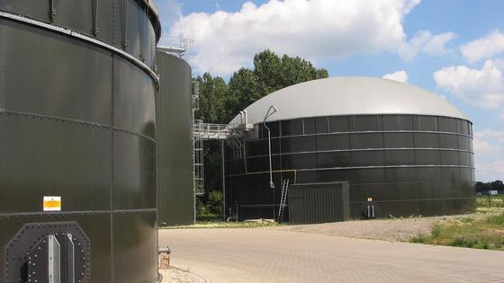 Biogas: Primär aus Mais erzeugt.