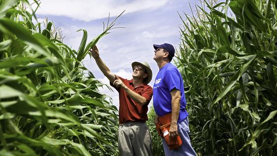 Hightech: Von Landwirten bisher verschmäht.