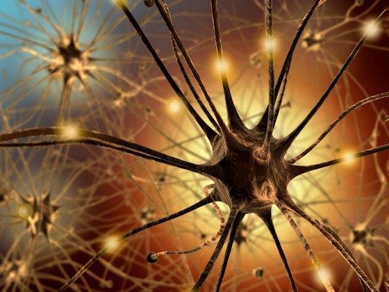 Im neuronalen Netzwerk des Gehirns fließt Strom. Die Frequenz der Entladungen verrät unsere Aufmerksamkeit. Im Tiefschlaf sind es unter 4 Hz, bei höchster Konzentration 40 Hz.