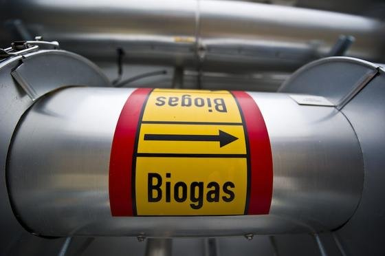 Die Erzeugung von Biogas aus Reststoffen aus der Landwirtschaft wird immer wichtiger. In Deutschland gibt es bereits fast 7500 Anlagen.