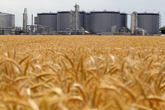 Die Firma Verbio hat in Sachsen-Anhalt die erste Großanlage gebaut, in der pro Jahr 20 000 Tonnen reines Getreidestroh zu Methangas verarbeitet werden.