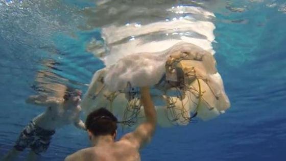 Roboterqualle Cyro auf Expeditionstour im Schwimmbecken.