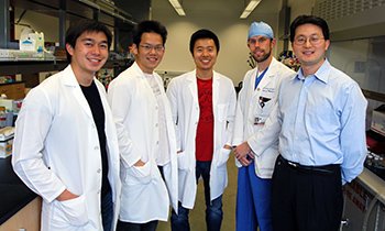 Ein Forscherteam der Universität von San Diego, bestehend aus  (v.l.) Brian Luk, Che-Ming Jack Hu, Ronnie Fang, Jonathan Copp und Liangfang Zhang hat die Nano-Schwämme entwickelt, die Giftstoffe aus dem Blut schwemmen können.