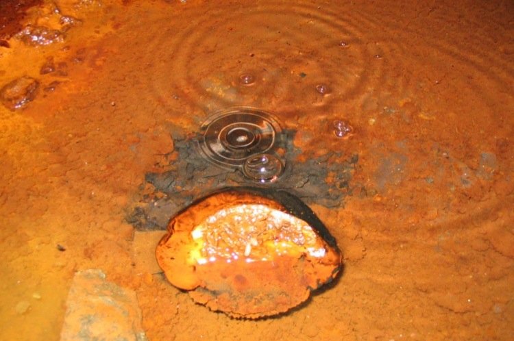 Wasser mit aufsteigenden Gasen auf dem Boden einer Mine. Mikroben können aus diesem Gasgemisch Energie gewinnen.  