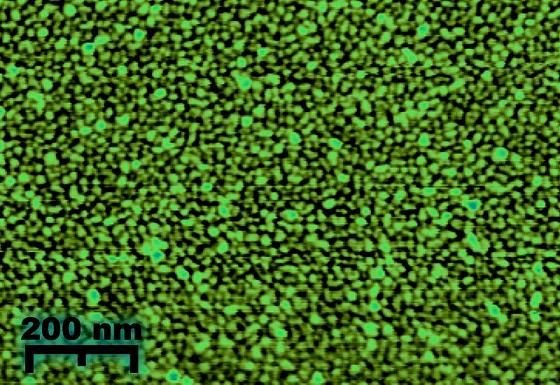 Gold-Nanopartikel auf einer Glasoberfläche aufgenommen mit einem Rasterkraftmikroskop.