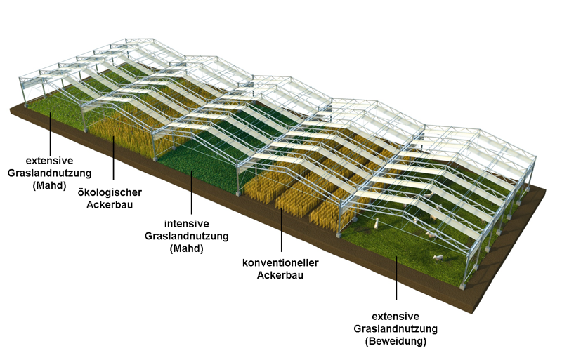 Auf großen Feldparzellen werden die Effekte des Klimawandelsauf verschiedene Landnutzungstypen simultan und interdisziplinär untersucht.