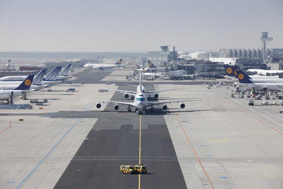 Besonders bei Start und Landung werden Rumpf und Tragflächen von Flugzeugen stark mit Insekten verschmutzt. Das beeinträchtigt besonders bei glatten Tragflächen die Aerodynamik.