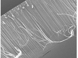 Der Filter mit Nanoporen hält Keime und Bakterien zurück, aber auch Mineralien. 