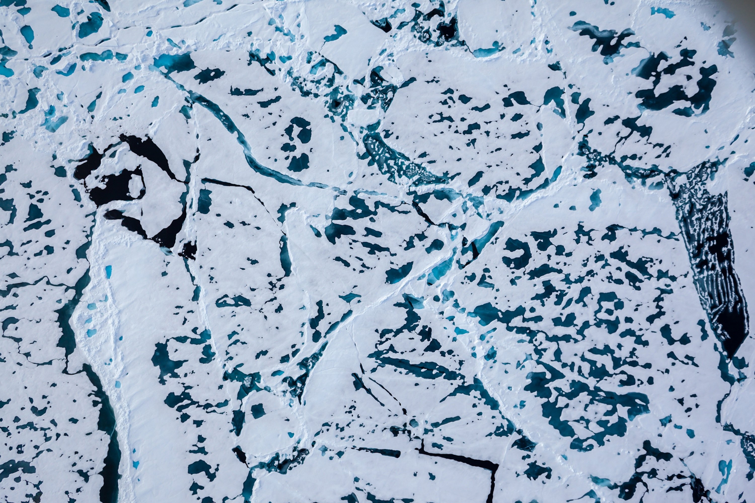 Gut zu erkennen auf dieser Luftaufnahme vom arktischen Meereis sind die geschmolzenen Stellen mit offenem Wasser.