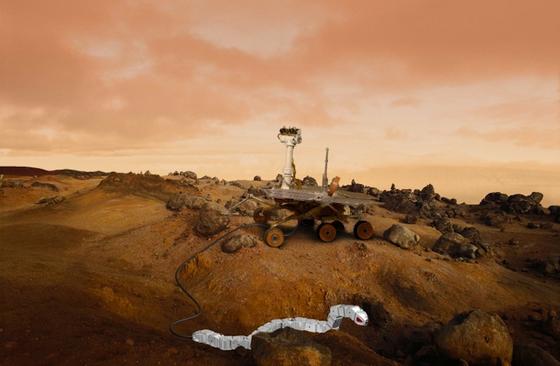 Curiosity auf der Suche nach Leben auf dem Mars: Der Forschungsrover der NASA hat auf dem Mars nur geringe Spuren von Methan gefunden, das auf Leben hinweisen würde. Unten auf der Fotomontage zu sehen ist ein schlangenförmiger Roboter, den norwegische Wissenschaftler als Ergänzung des Rovers für unwegsames Gelände entwickelt haben.