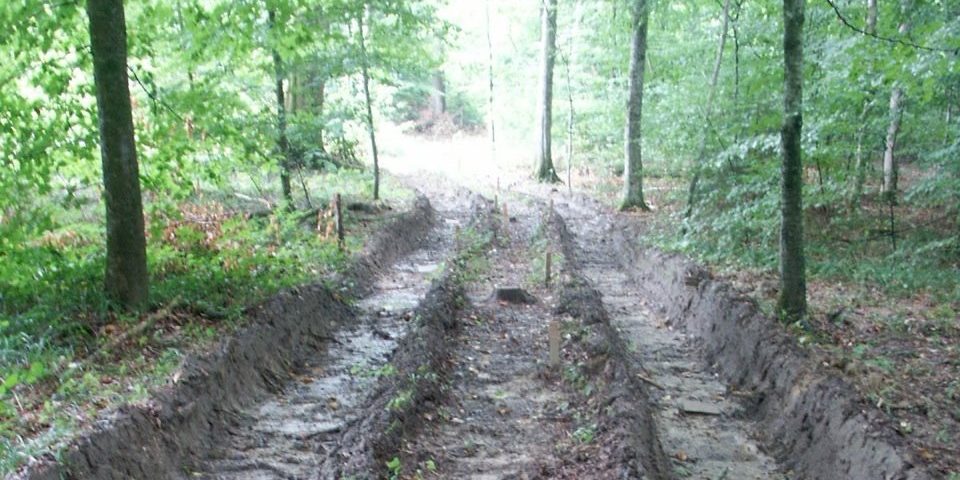 Waldboden mit tiefen Fahrspuren