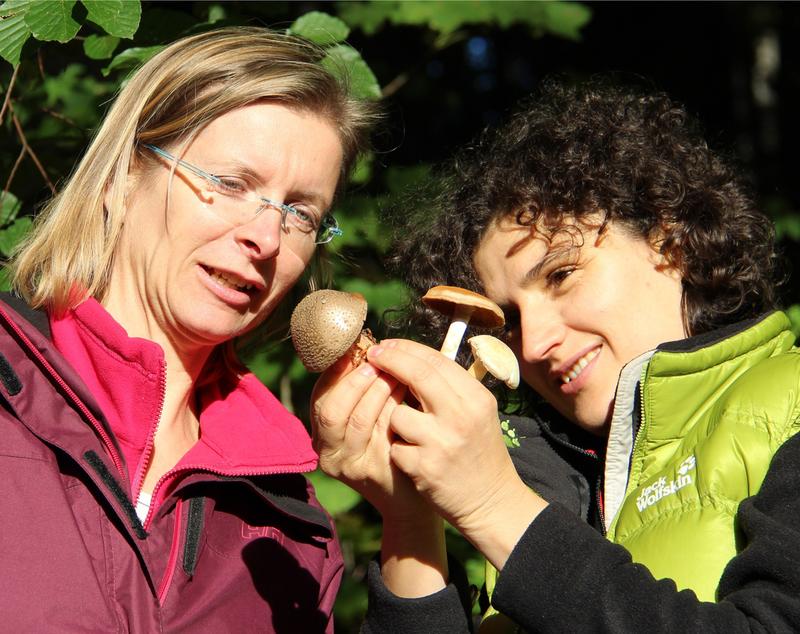 Pilze sind wichtig, damit sich Bäume an Klimawandel und unterschiedliche Stressbedingungen anpassen können: die technische Assistentin Merle Fastenrath (l.), die die Versuchsanlagen betreut hat, mit Dr. Rodica Pena, Forstwissenschaftlerin und Autorin der Studie.