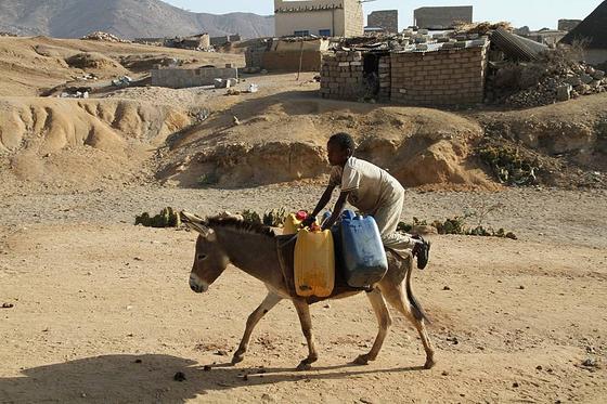 Junge holt Wasser mit einem Esel: Die Wasserarmut in Eritrea nimmt zu, die Wege zu Wasserstellen werden immer länger.