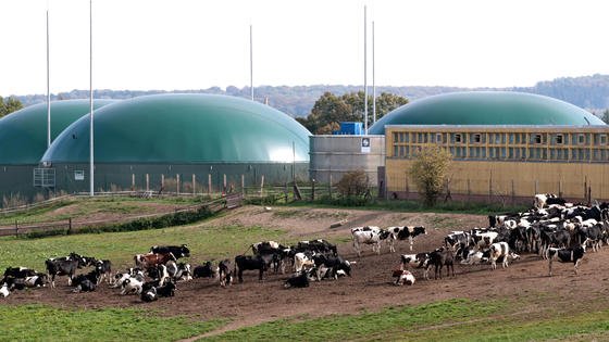 In einem neuen Fermentationsverfahren für Biogasanlagen sollen zukünftig neben Biogas nur noch Wasser und ein geringer Anteil unbedenklicher Feststoffe als Gärrest zurückbleiben. Dieser wiederum liefert Nährstoffe für die umweltschonende Düngerproduktion. 