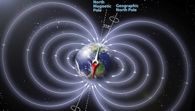 Die Monarchfalter messen den Winkel zwischen Magnetfeldlinien und Erde und können sich so auf ihren Wanderflügen orientieren.