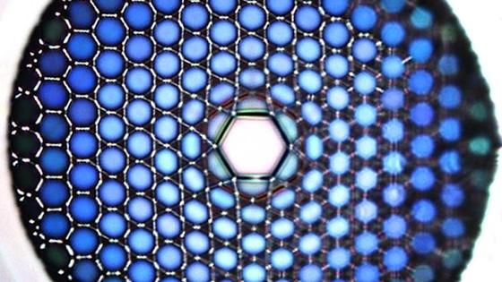 Mikroskopische Aufnahme der Glasfaser: Die Hohlkammer in der Mitte ist nur 20 Tausendstel Millimeter breit. Sie macht die verlustfreie Übertragung des UV-Laserlichts möglich. 