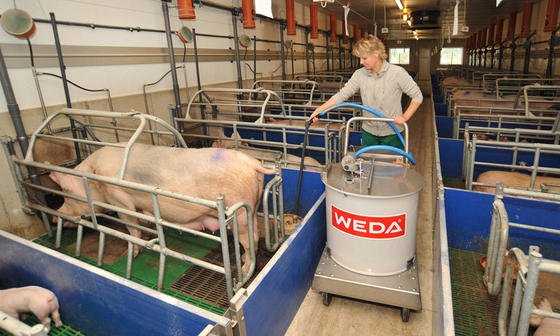 Der Stallausrüster Weda hat jetzt einen Fütterungsautomaten mit Akkutechnik auf den Markt gebracht. Das Geräte hält fünf Stunden durch, ohne an die Steckdose zu müssen.