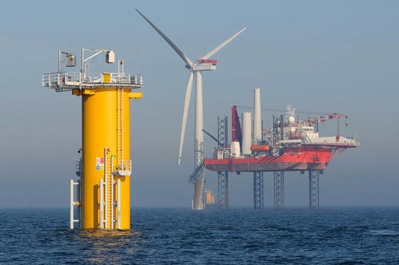 Der Windpark Sheringham Shoal vor der britischen Küste: Offenbar wirken die Fundamente der Windkraftanlagen im Meer wie künstliche Riffe und bieten neue Lebensräume. Deshalb gehen Robben und Seehunde besonders gerne in Windparks auf Jagd.