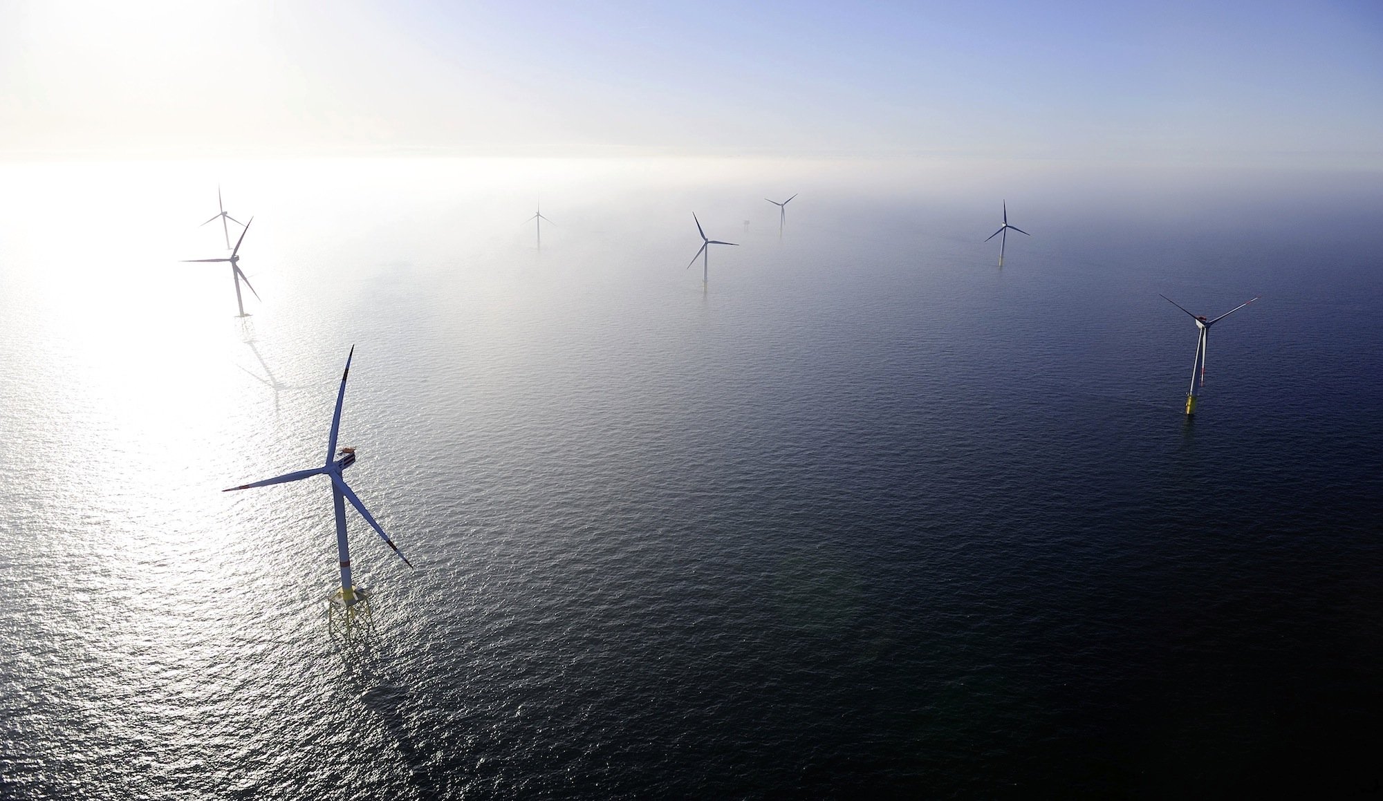 Der Windpark Alpha Ventus vor Borkum: Britische Forscher konnten dokumentieren, dass Robben und Seehunde besonders gerne im Umfeld von Offshore-Windkraftanlagen auf Jagd gehen.