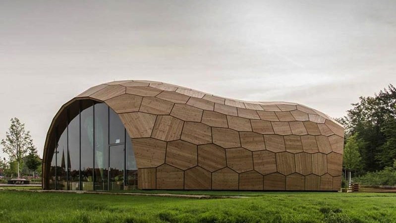 Vorbild für den dünnen und trotzdem stabilen Holzpavillon war der Seeigel Sanddollar. Sein Plattenskelett besteht aus ebenen polygonalen Kalkplättchen.