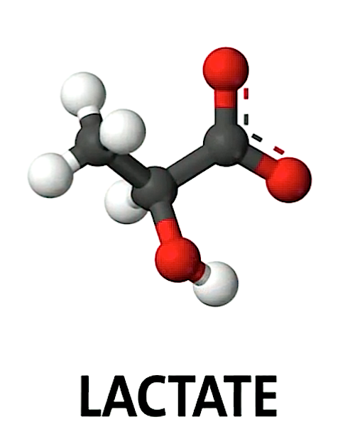 Molekülstruktur Laktat.