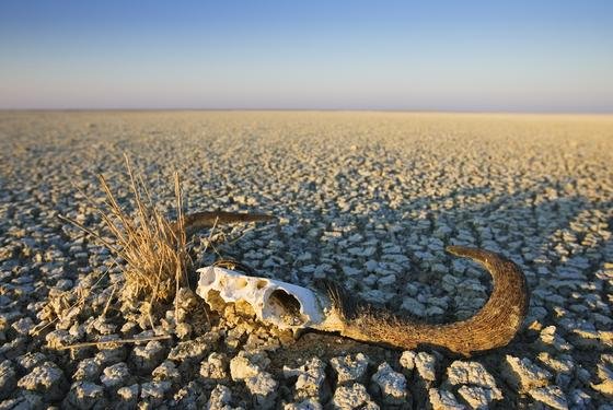 Trockenheit in Namibia: Der Wassermangel in vielen Teilen der Erde kann nach einer WWF-Studie auch deutsche Unternehmen treffen, etwa durch Lieferausfälle.