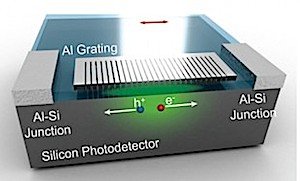 Schematische Darstellung des Photodetektors.