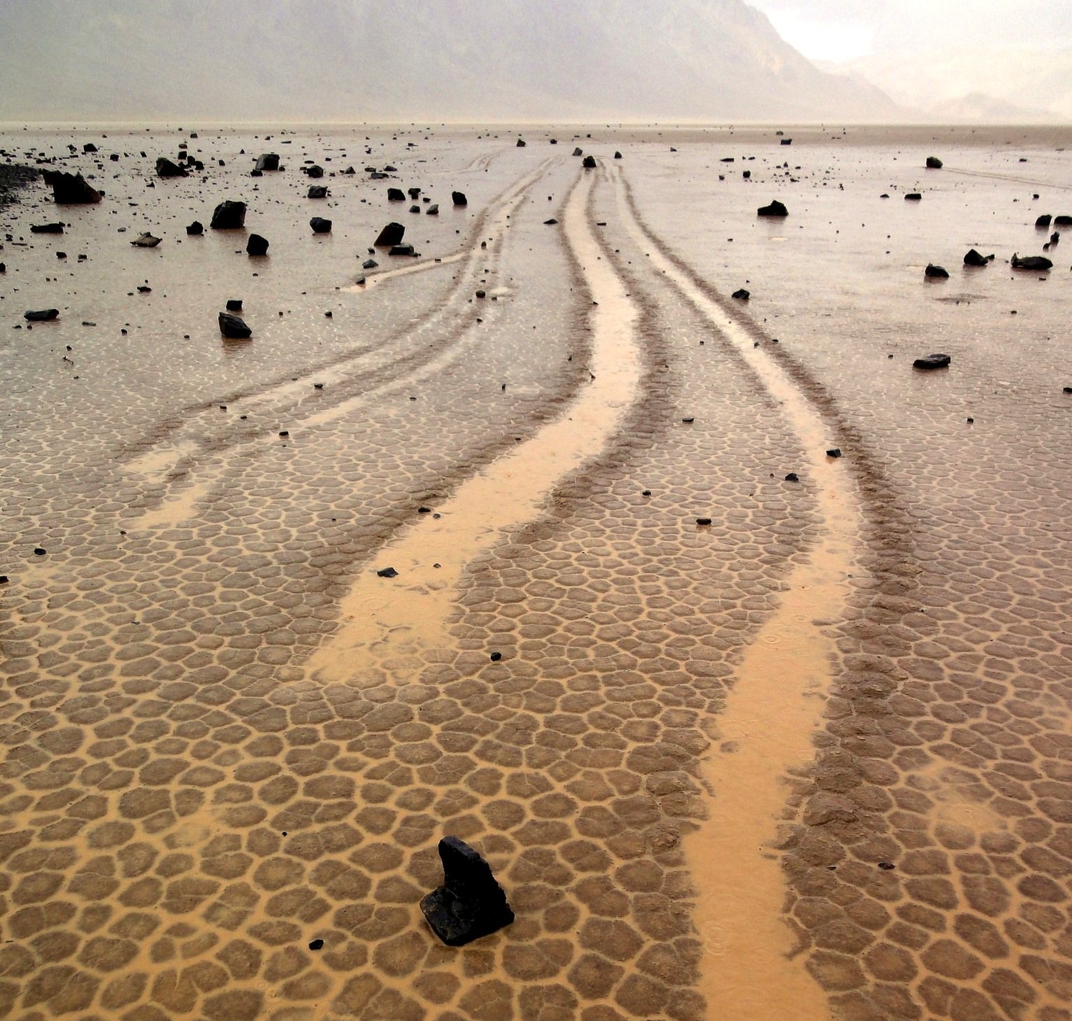 Mehrere parallel verlaufende Steinspuren im verregneten Death Valley.