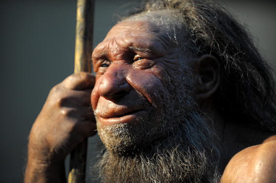 Nachbildung eines älteren Neandertalers im Neanderthal-Museum in Mettmann bei Düsseldorf: Jetzt wurden abstrakte Gravuren in einer Höhle in Gibraltar gefunden.