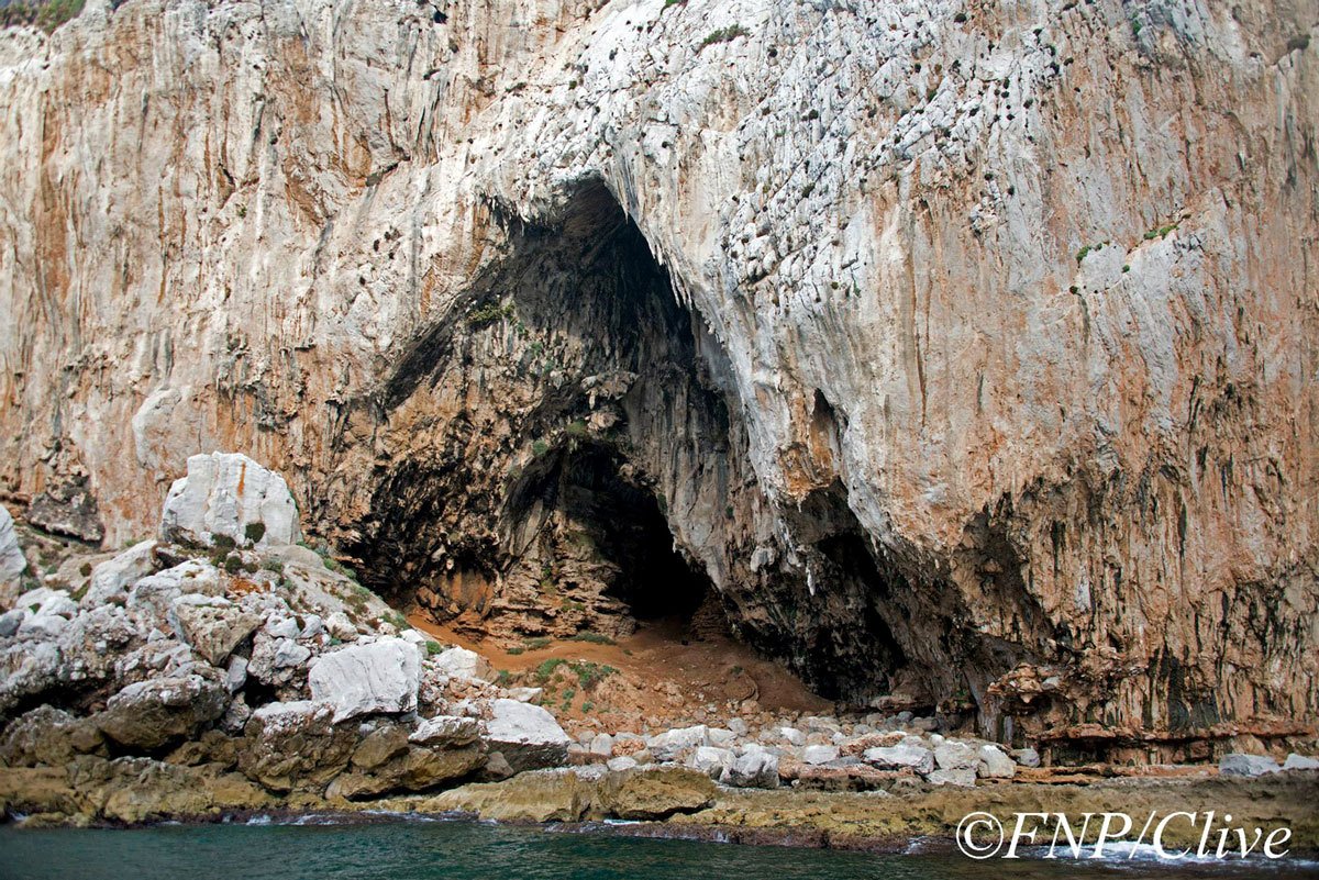 Der Eingang zur Gorham-Höhle in Gibraltar: Die Höhle ist seit langem als Wohnort von Neandertalern bekannt. Erstmals haben Forscher dort nun Hinweise auf Höhlenkunst der Neandertaler entdeckt. In dieser Höhle fand ein internationales Team kreuzförmige Felsgravuren, die knapp 40.000 Jahre alt sind.