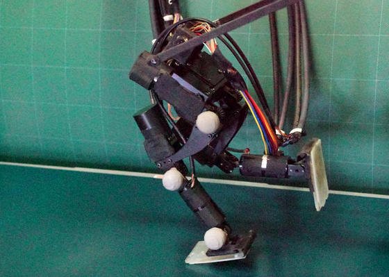 Der japanische Roboter Achires legt auf seinen zwei Beinen 4,2 Kilometer pro Stunde zurück. 