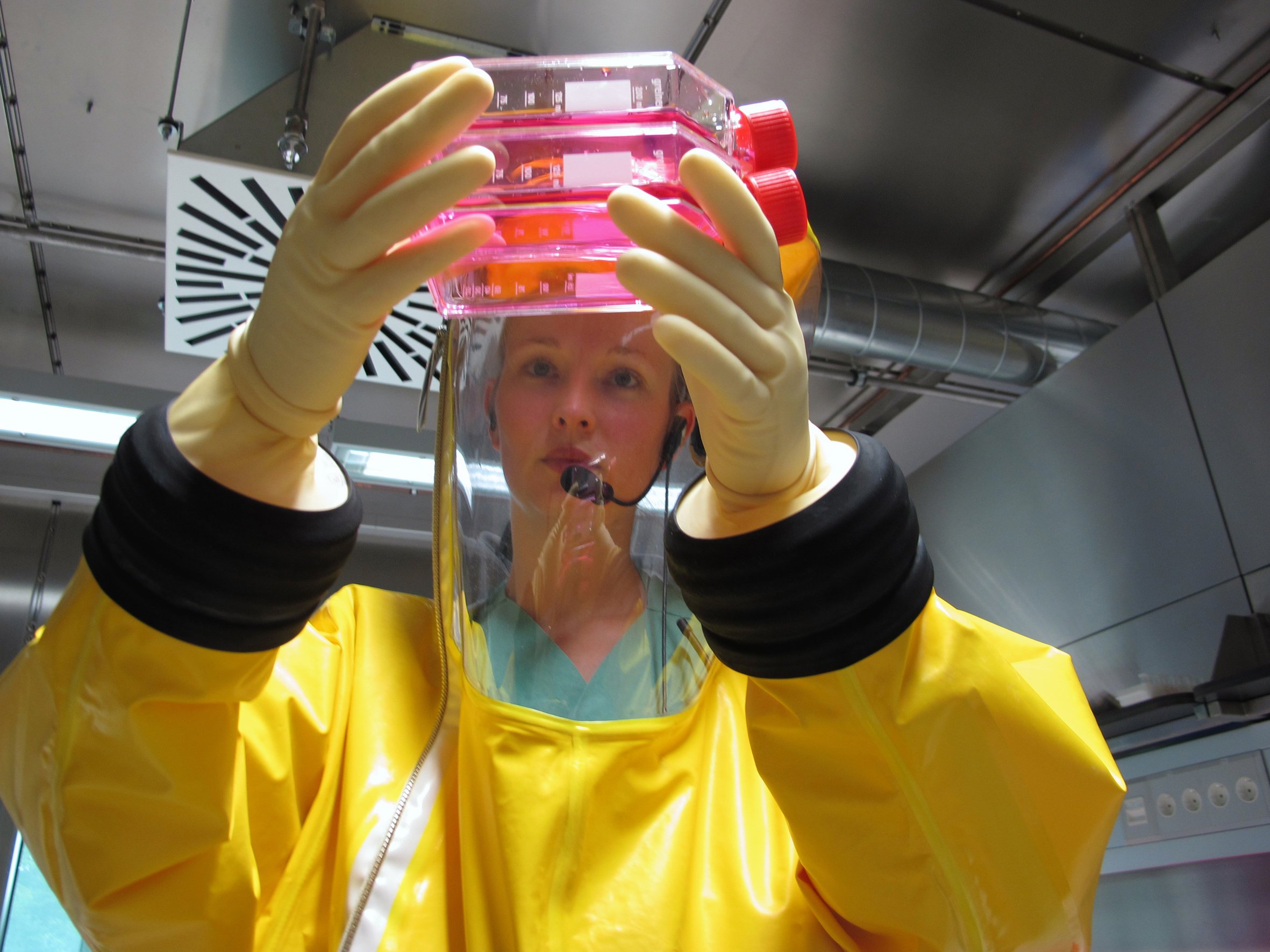 Viren-Forschung an der Universität Marburg: Die WHO hofft, dass spätestens im November ein Impfstoff gegen Ebola vorliegt.