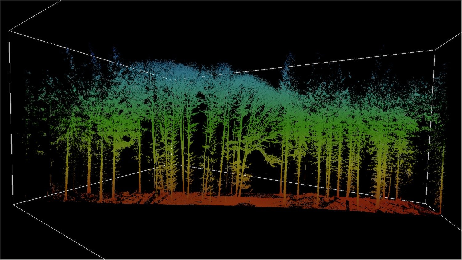 Mithilfe von Laserscans untersuchen die TUM-Wissenschaftler, wie sich Strukturen in Baumkronen verändern. 