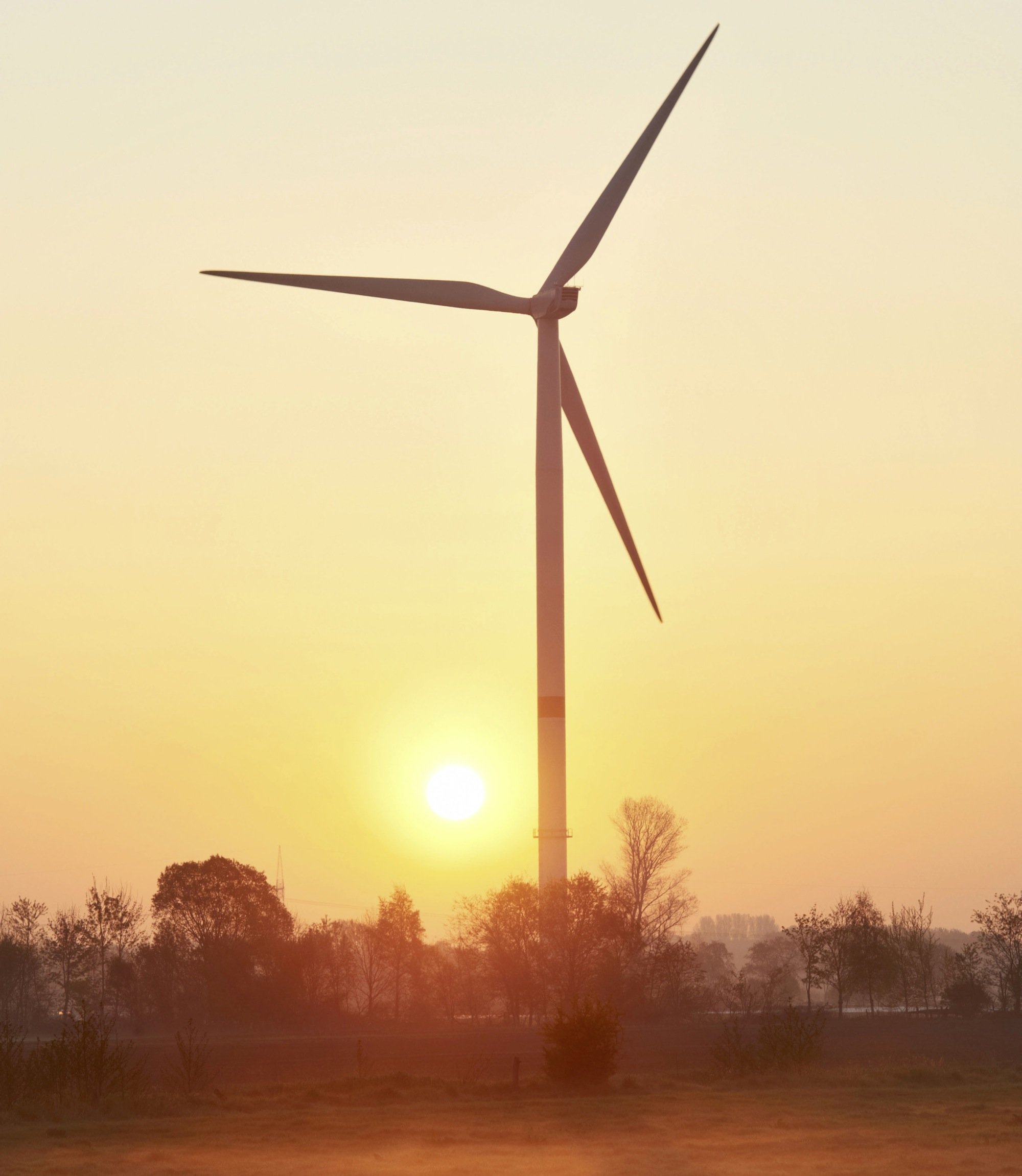 Bei schwachem Wind und langsamen Rotorbewegungen ist für Fledermäuse die Gefahr besonders groß, ein Windrad mit einem Baum zu verwechseln. Die vom Windrad erzeugten Luftströmungen ähneln denen großer Bäume. 