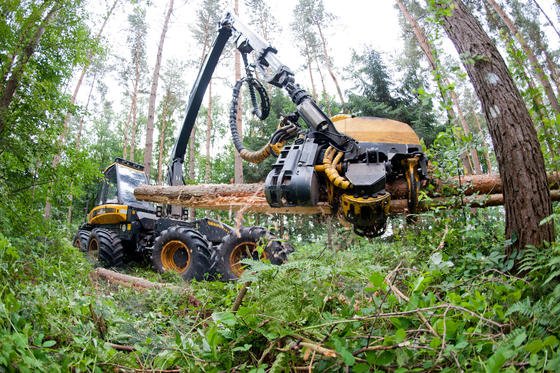 Ein sogenannter Holzvollernter fällt und zersägt Bäume in einem Waldgebiet in Niedersachsen. Laut WWF verbraucht die Menschheit viel mehr Ressourcen als der Planet rechtzeitig erneuern kann. 