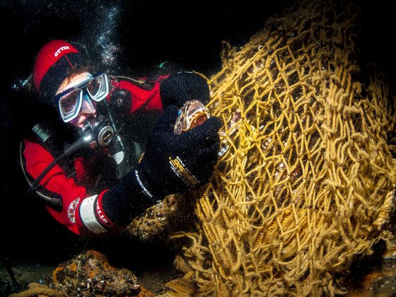 Ein Taucher befreit einen Seeskorpion aus einem Netz am Wrack der "Friedrich Engels" in der Ostsee östlich von Rügen: Dänische Forscher haben ein Material entwickelt, das Sauerstoff so gut speichert, dass man künftig keine Sauerstoffflaschen mehr unter Wasser benötigen würde.