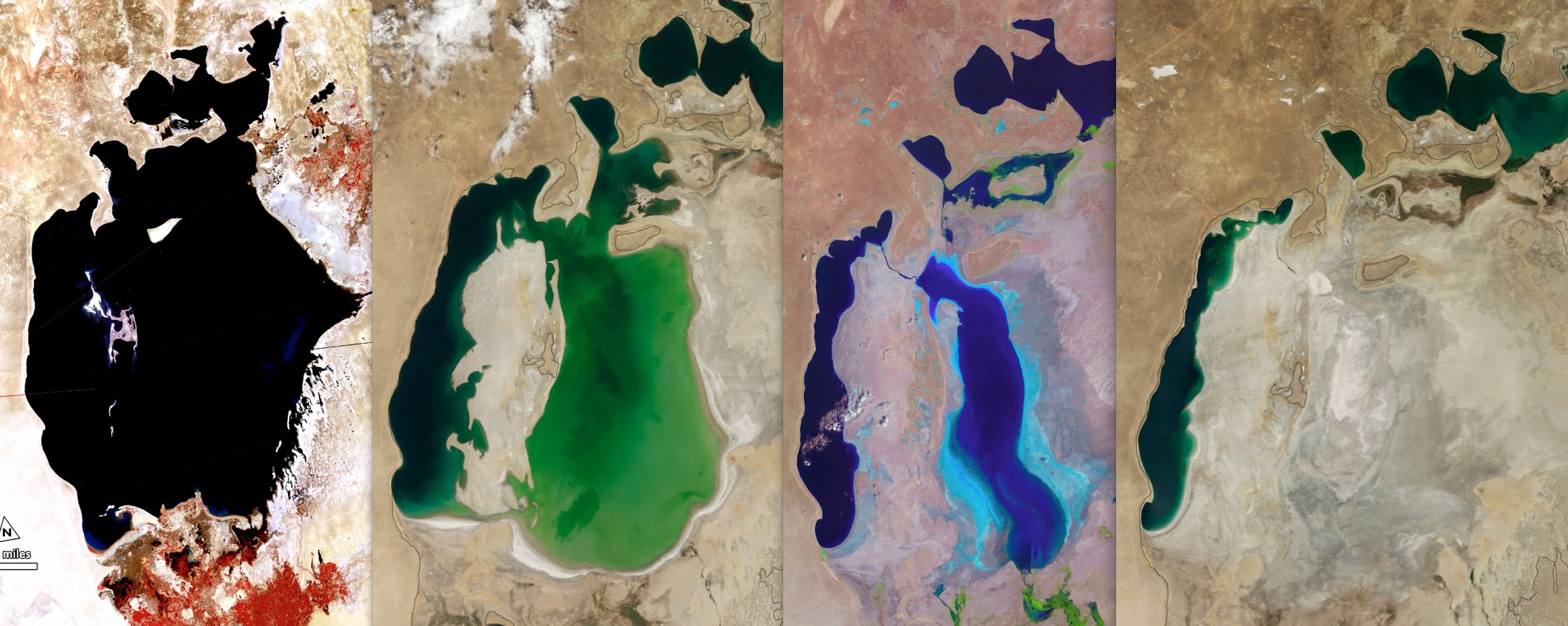 Der Aralsee hat inzwischen 90 Prozent seines Wassers verloren. Die Satelliten-Aufnahme links zeigt den See noch kraftstrotzend im Jahr 1977. Die weiteren Aufnahmen dokumentieren deutlich die rasante Abnahme in den Jahren 2000 und 2010. Rechts zu sehen ist eine aktuelle Aufnahme vom August: Der Ostteil des Aralsees ist verschwunden.