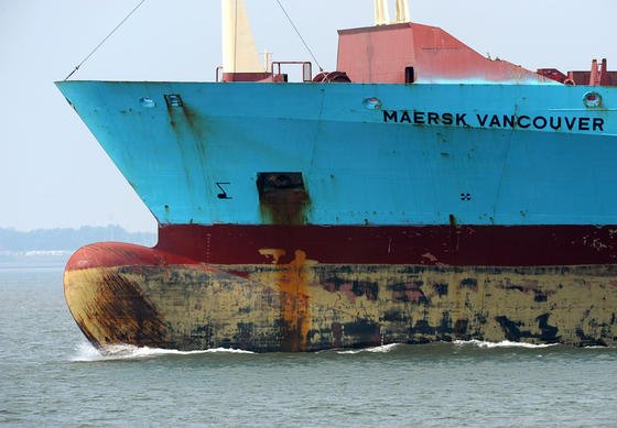 Algen, Seepocken und Muscheln sorgen in der Schifffahrt für Milliardenschäden. Bisher gibt es nur wenige umweltfreundliche Schutzbeschichtungen. Das will das Projekt Foulprotect ändern.