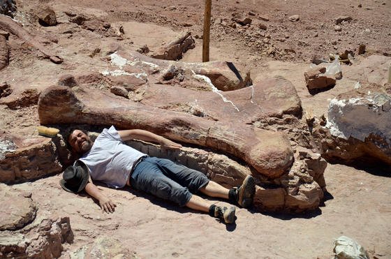 Ein Mitarbeiter des Museo Egidio Feruglio liegt neben einem Oberschenkelknochen des südwestlich von Trelew in der argentinischen Provinz Chubut gefundenen Dinosauriers. Das Tier könnte bis zu 40 Meter groß gewesen sein.