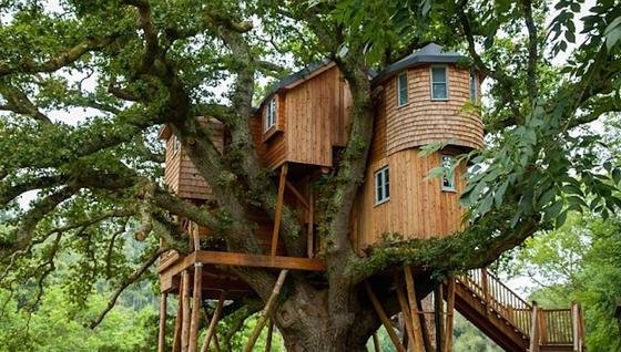 Ein Schlösschen aus Holz im Baum: das Fox and Hounds Country Hotel in Devon. 