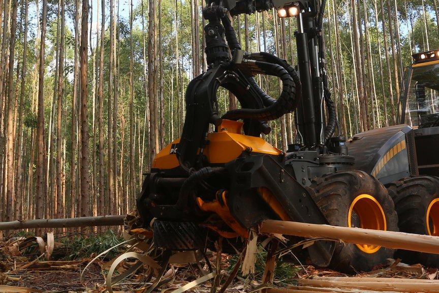 Das Harvesteraggregat der Firma Ponsse, das die Stämme nach der Fällung vor Ort nicht nur aufarbeitet sondern gleich entrindet, im Einsatz.