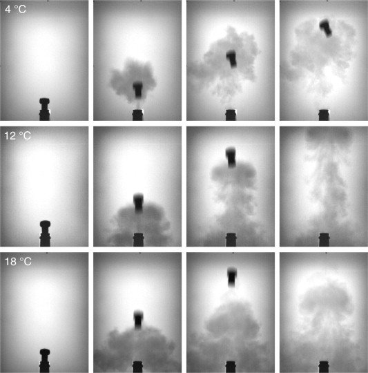 Jeweils im Abstand von zehn Millisekunden zeigen die Bilder den Flug des Korkens und das Austreten der Kohlendioxid-Wolke bei drei verschiedenen Flaschentemperaturen von 4, 12 und 18 Grad Celsius. 