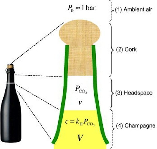 Die vier Bereiche, die ins thermodynamische Modell mit einfließen (von oben nach unten): Umgebungsluft, Korken, gasgefüllter Flaschenhals, Sekt in der Flasche.