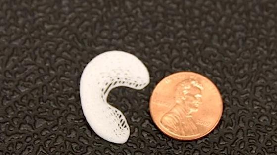 Das Meniskus-Gerüst aus dem 3D-Drucker ist etwa so groß wie eine Münze.