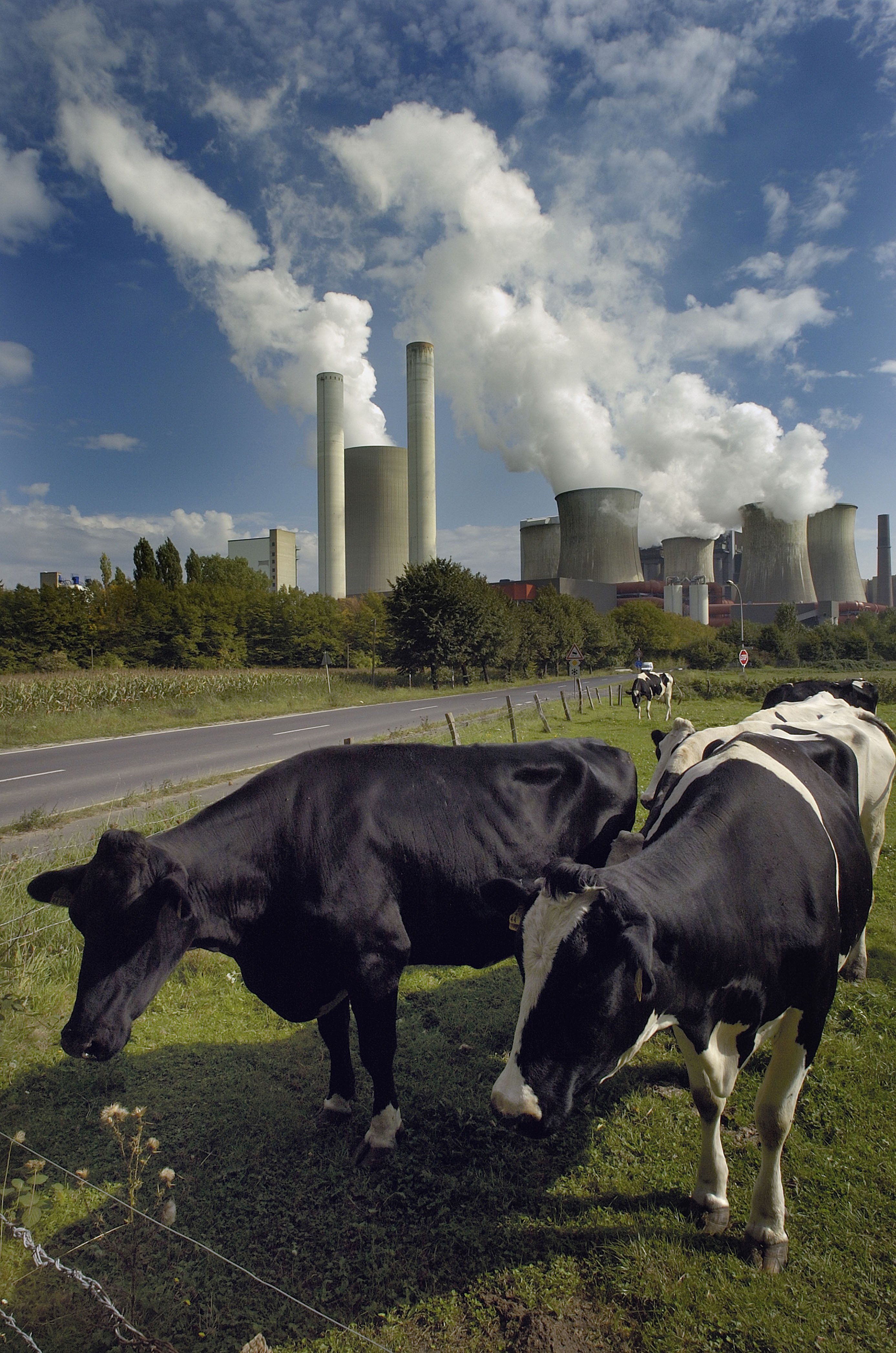 Landwirtschaft und Kraftwerke gehören zu den größten Wasserverbrauchern und werden besonders unter der verschärften Knappheit zu leiden haben. 