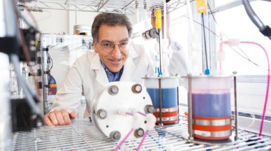 Materialwissenschaftler Michael J. Aziz hat gemeinsam mit anderen Forschern und Ingenieuren der Harvard University eine metallfreie Redox-Fluss-Batterie entwickelt. 