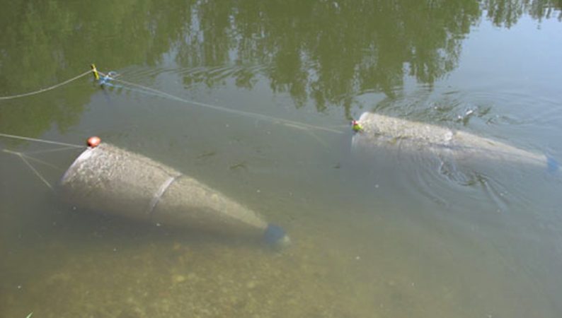 Die Forscher der Universität wollten sich eigentlich mit Driftnetzen einen Überblick über den Fischbestand verschaffen. Sie machten die erschreckende Entdeckung, dass mehr Plastik als Fischlarven in den Netzen hängenblieb. Hinzu kommt eine ungewisse Menge an Partikeln im Nanobereich. 