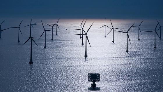 Windpark Lillgrund zwischen Malmö und Kopenhagen: Besonders Offshore-Anlagen wie diese könnten vom lernenden System profitieren und wirtschaftlich rentabler werden.  